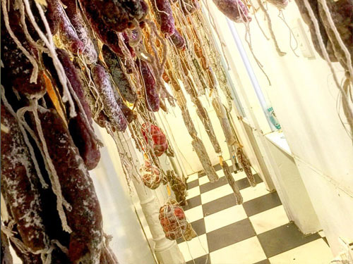 Expanded curing chamber